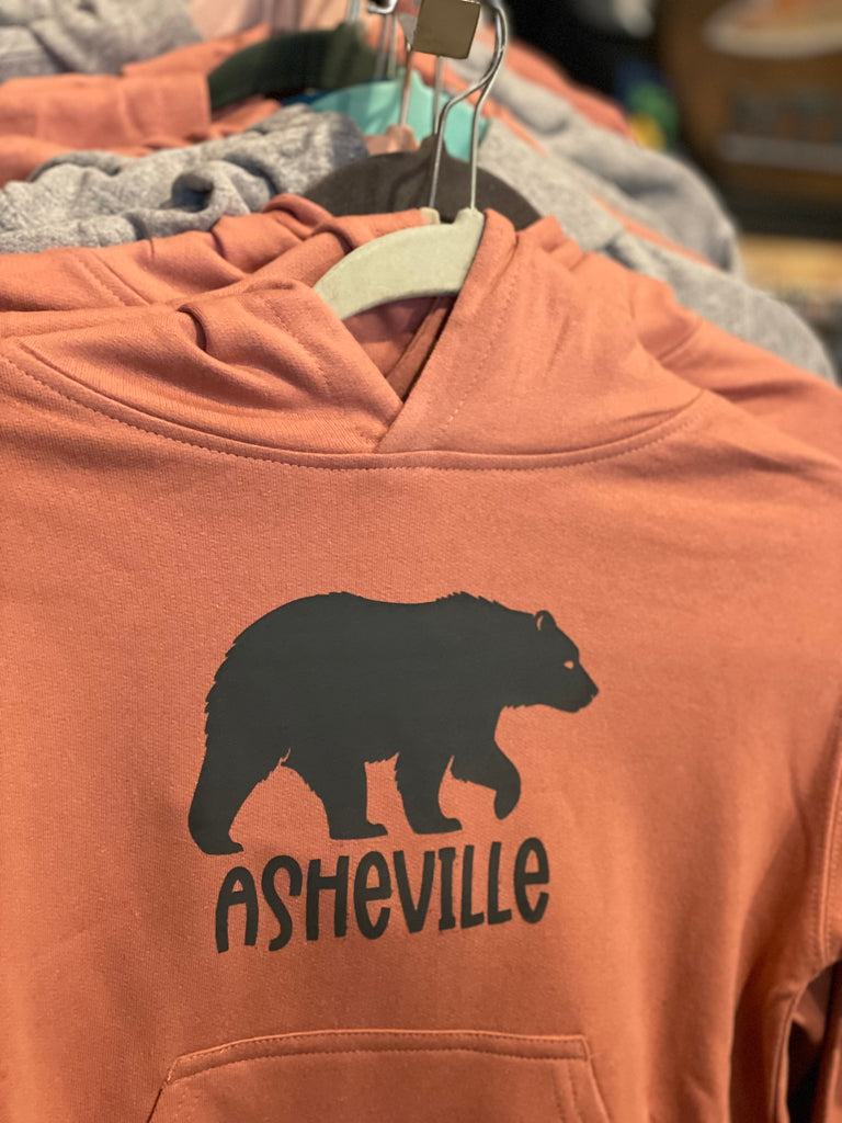 Asheville Bear Hoodie -Pink