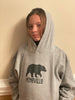 Image of Asheville Bear Hoodie